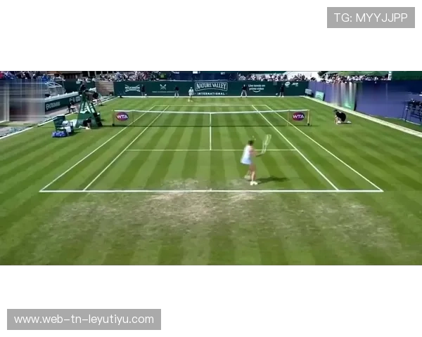 赛场“坑”场：奇怪的障碍带来新考验，赛场比赛